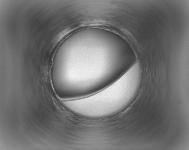 X0000078841457200611130945