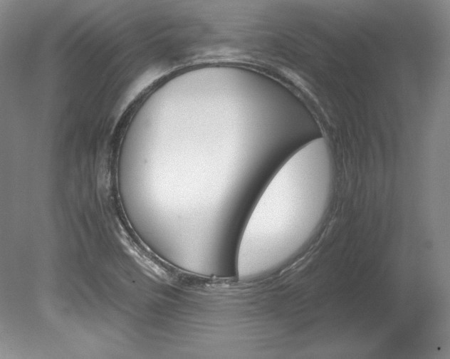 X0000078841458200611130945
