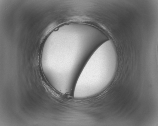 X0000078841459200611130945