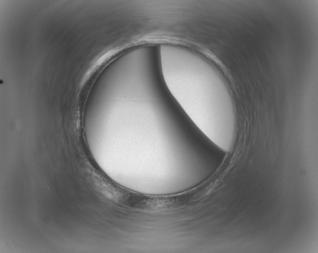 X0000078841461200611130945