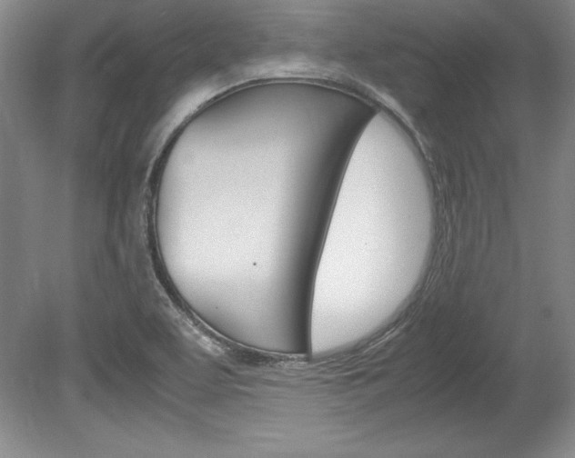 X0000078841463200611130945