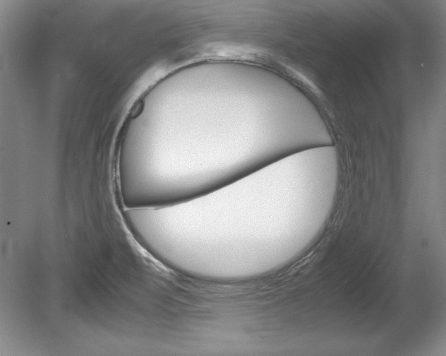 X0000078841471200611130945