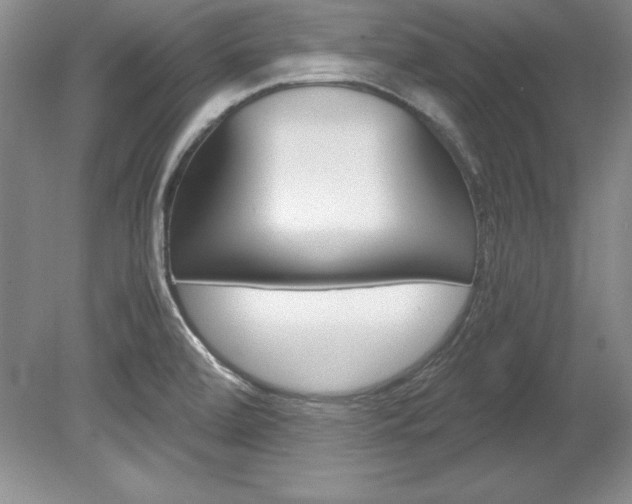 X0000078841472200611130945