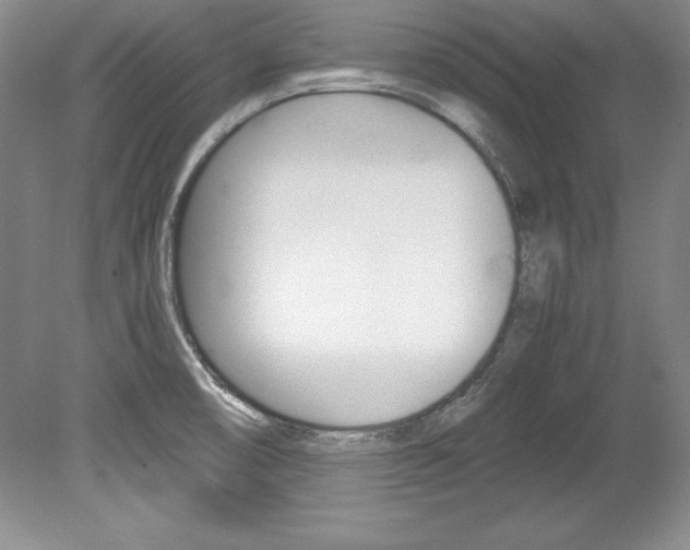 X0000078841474200611130945