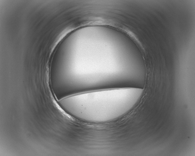 X0000078841476200611130945