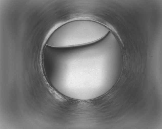 X0000078841480200611130945