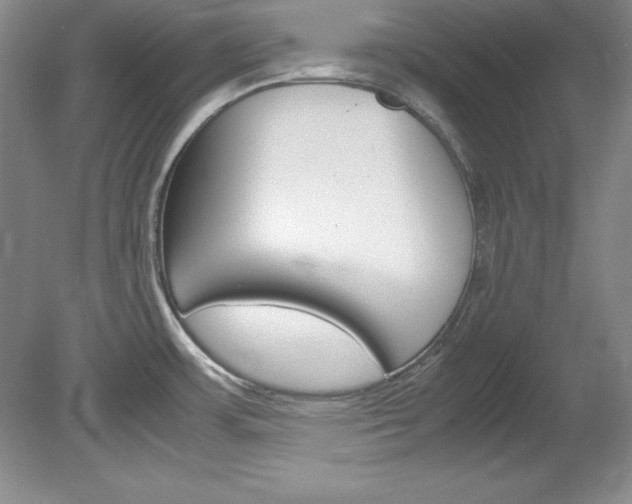 X0000078841483200611130945