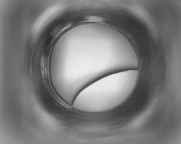 X0000078841487200611130945
