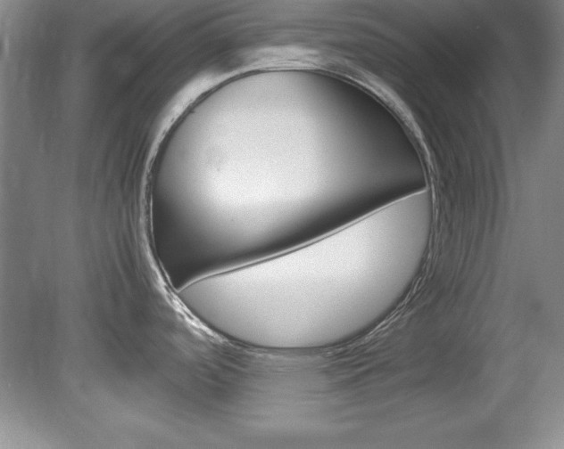 X0000078841488200611130945