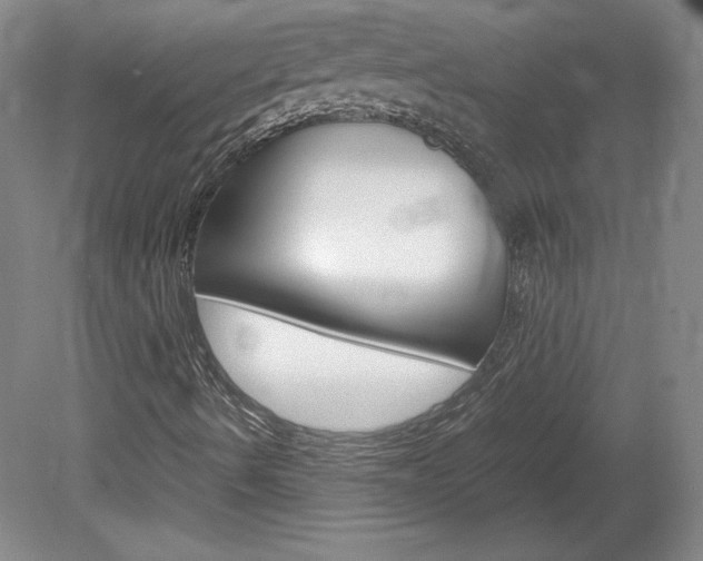 X0000078841490200611130944