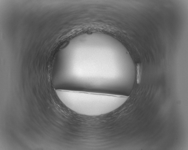 X0000078841491200611130944