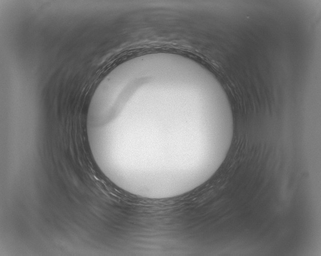 X0000078841492200611130944
