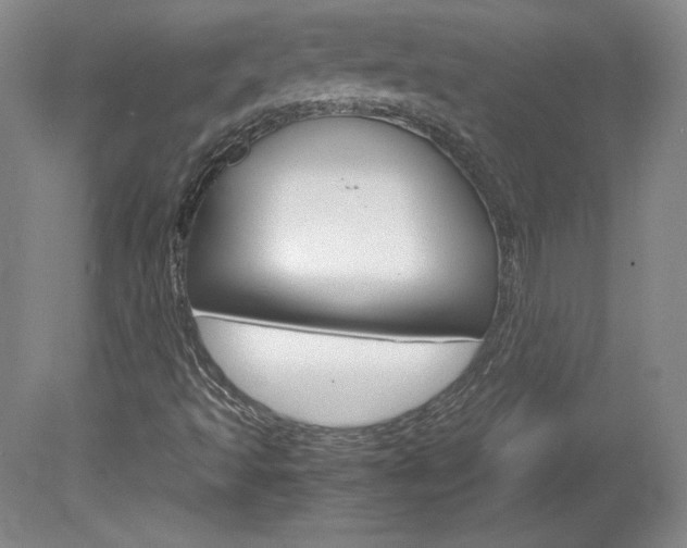 X0000078841493200611130944