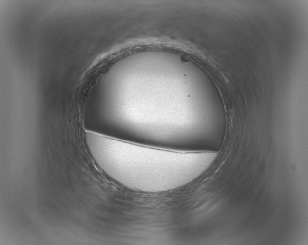 X0000078841494200611130944