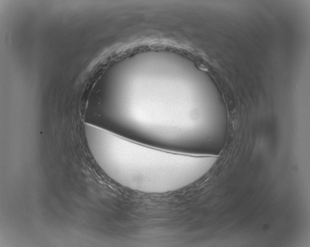 X0000078841495200611130944