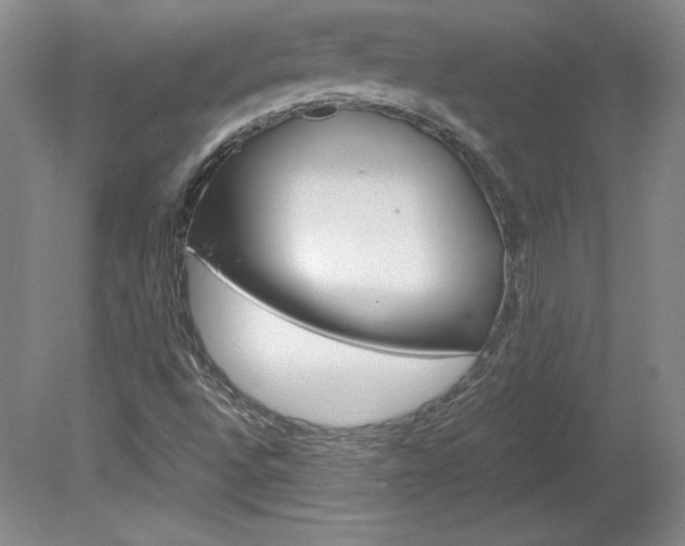 X0000078841496200611130944