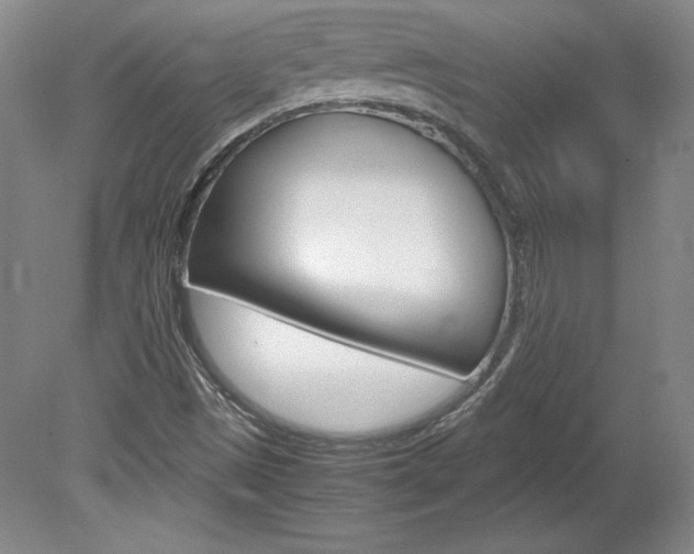 X0000078841497200611130944