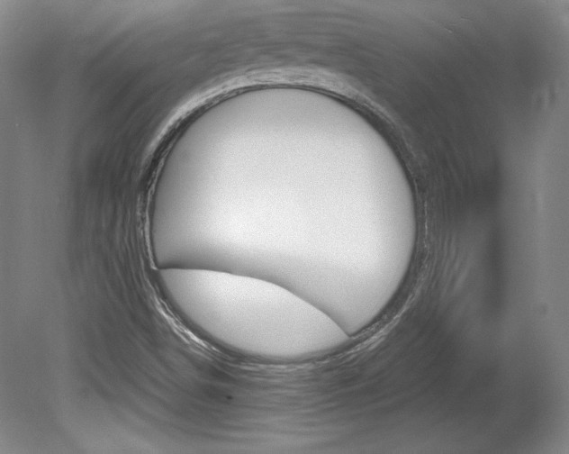 X0000078841498200611130944