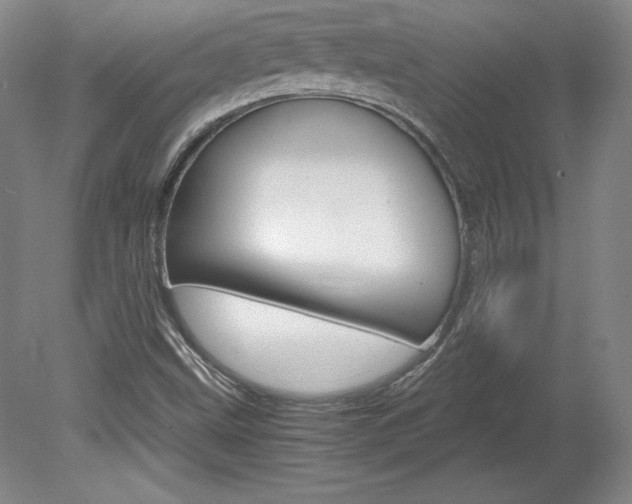 X0000078841499200611130944