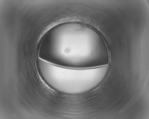 X0000078841500200611130944