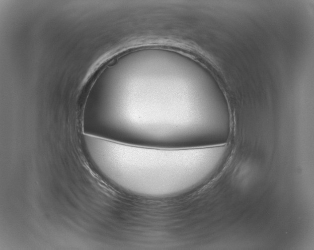 X0000078841501200611130944