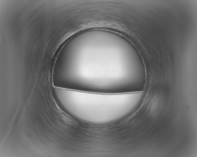 X0000078841505200611130944
