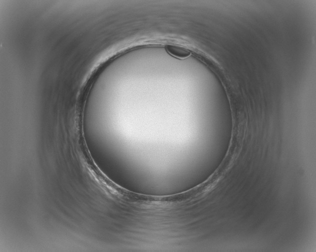 X0000078841506200611130944