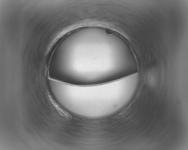 X0000078841507200611130944