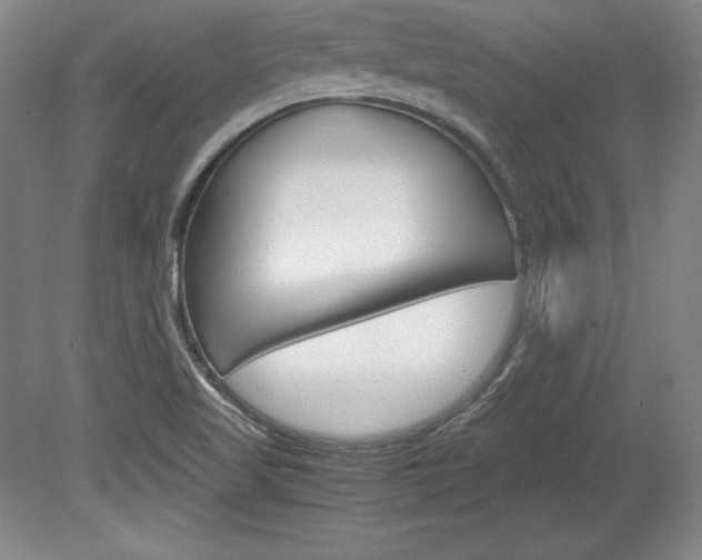 X0000078841509200611130944