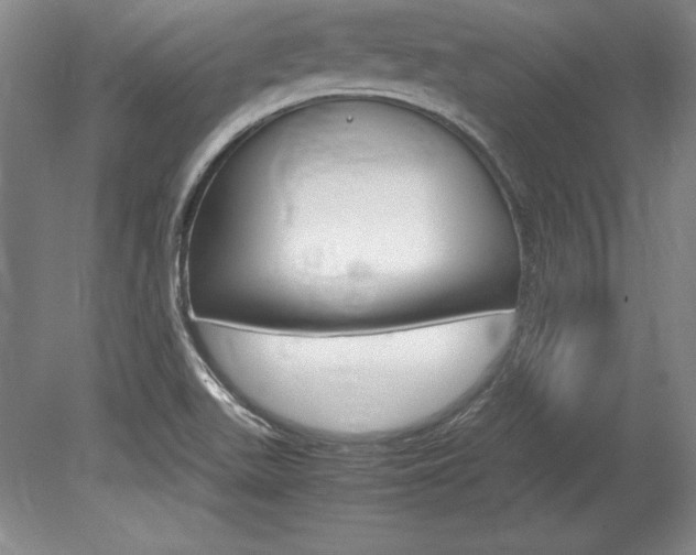 X0000078841511200611130944