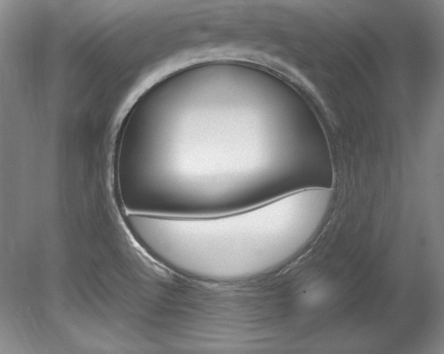 X0000078841512200611130944