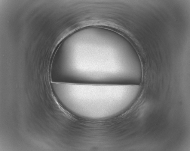 X0000078841513200611130944
