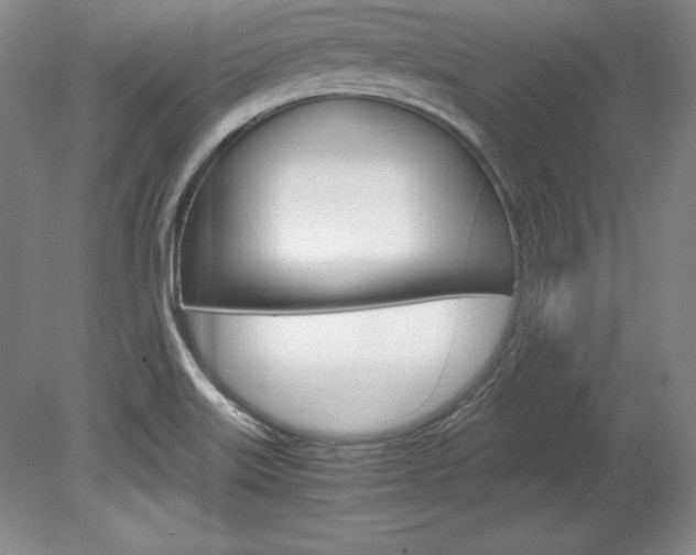 X0000078841515200611130944