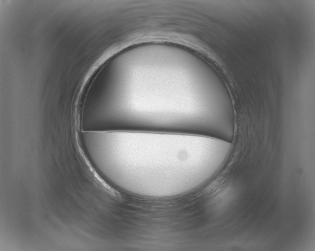 X0000078841517200611130944