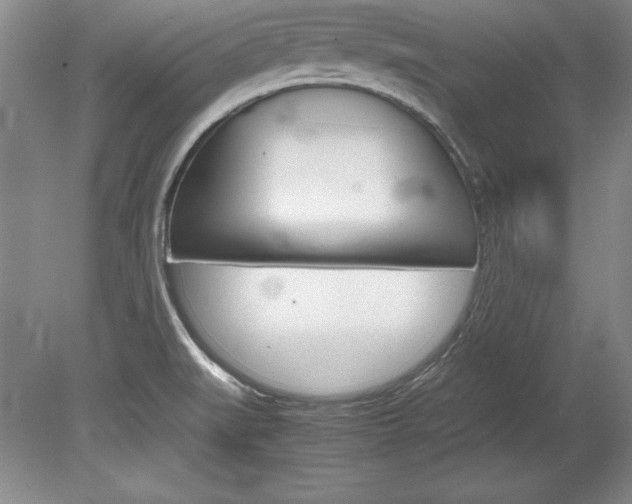 X0000078841519200611130944
