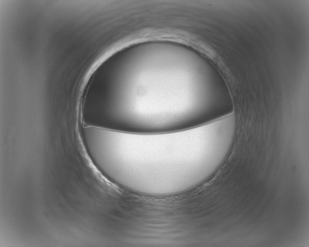 X0000078841520200611130944