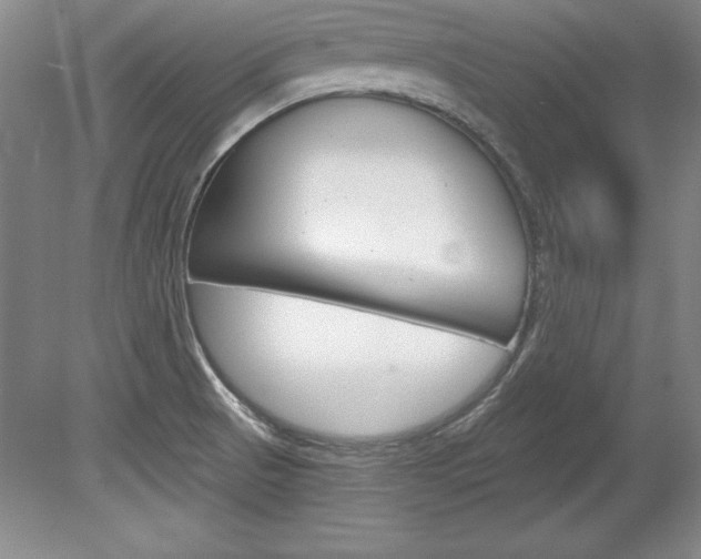 X0000078841521200611130944