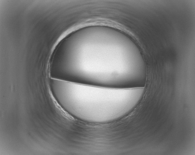 X0000078841522200611130944