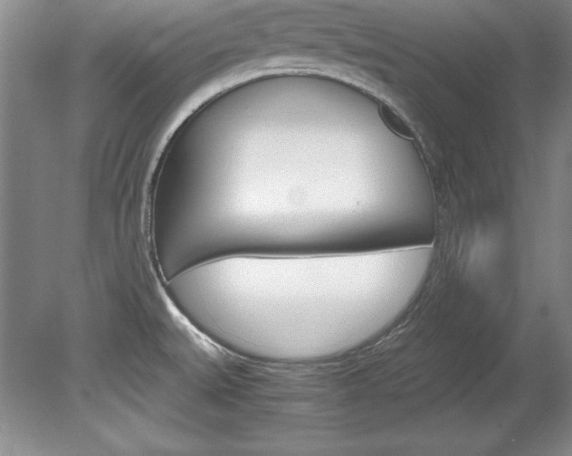 X0000078841527200611130944