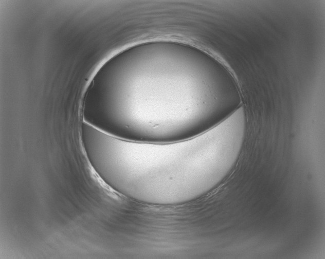 X0000078841532200611130945
