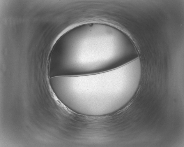X0000078841534200611130945
