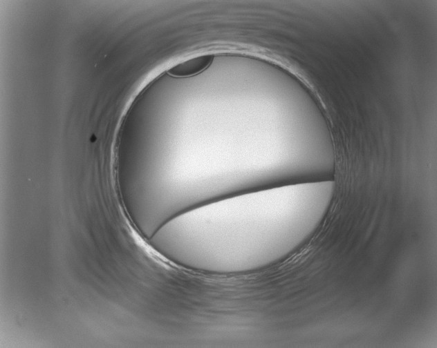 X0000078841535200611130945