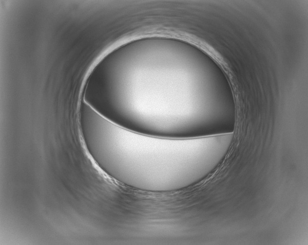 X0000078841536200611130945