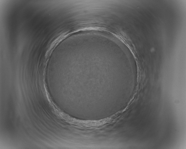 X0000078840001200611131201