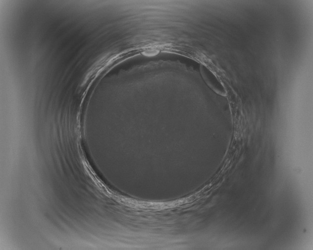 X0000078840002200611131201