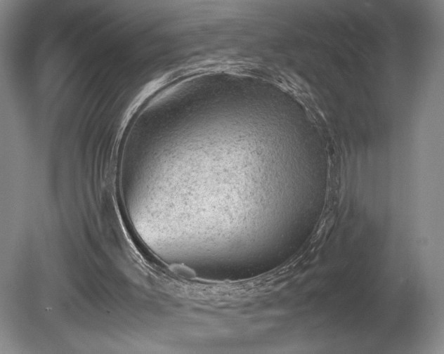 X0000078840003200611131201