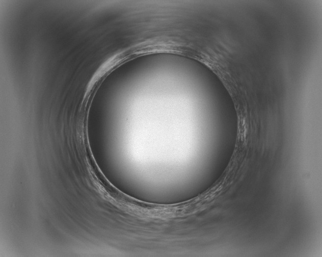 X0000078840004200611131201