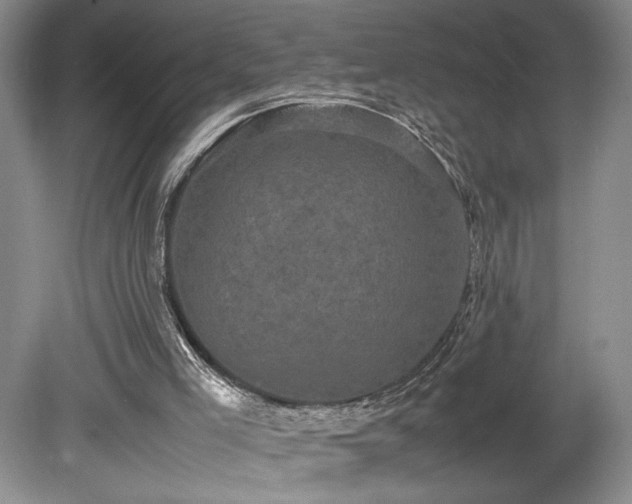 X0000078840005200611131201