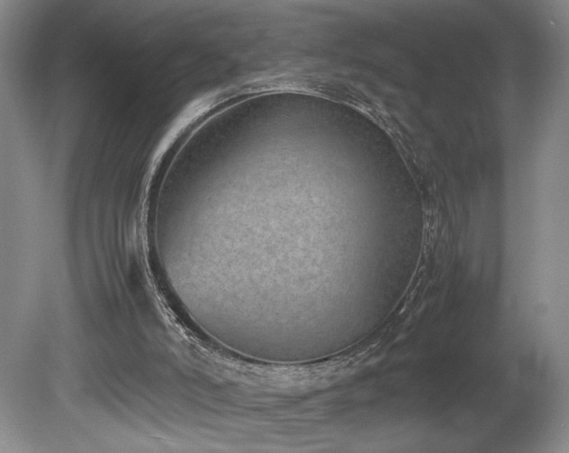 X0000078840006200611131201