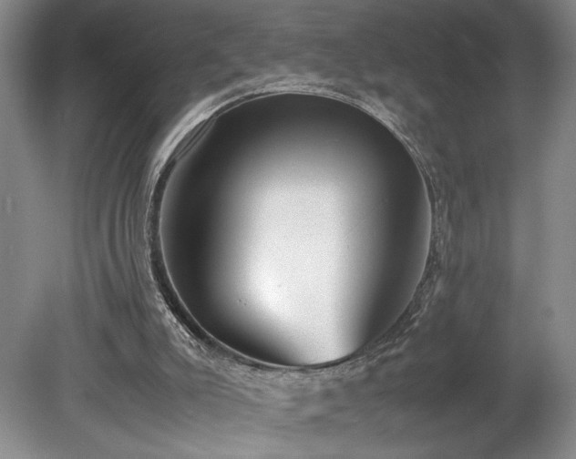 X0000078840007200611131201